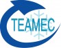 Логотип TEAMEC