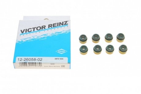 Комплект сальників клапану DIVERSE VICTOR REINZ 12-26058-02 (фото 1)