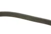 Ремень поликлиновой DAYCO 6PK2400 (фото 3)