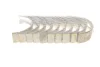 Вкладыши MAHLE MAHLE\KNECHT 029HS18067 000 (фото 3)