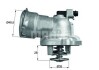 Термостат, охолоджуюча рідина MAHLE TM 28 87 MAHLE\KNECHT TM2887 (фото 1)