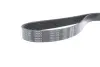 Ремень поликлиновой DAYCO 7PK1370 (фото 4)