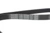 Поликлиновой ремень DAYCO 6PK2063 (фото 4)