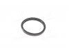 Уплотнительное кольцо GM 94580530 (фото 2)