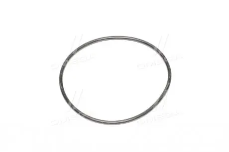 Уплотнительное кольцо GM 94580509