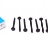 Комплект болтів головки циліндрів VICTOR REINZ 14-11002-01 (фото 1)