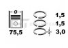 Комплект кілець на поршень ET ENGINETEAM R1004800 (фото 1)