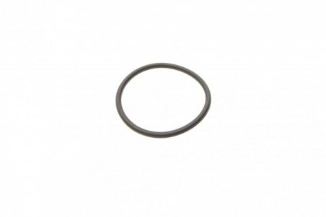 Резиновое кольцо BOSCH F 00R 0P0 166 (фото 1)