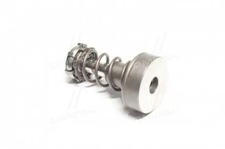 Плунжерная пара BOSCH F 01M 101 347 (фото 1)
