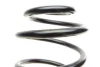 Пружина (задняя) Geely MK 1.5 0-13 (седан) LESJOFORS 4229802 (фото 3)
