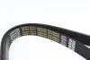 Ремень поликлиновой DAYCO 6PK2225HD (фото 2)