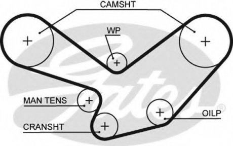Ремень ГРМ GATES 5096
