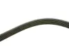 Ремінь генератора Ford Escort 1.4-1.8 92-00/Renault Laguna 1.8 93-01/VW Golf II/Passat B3/B4 88-97 FB 6PK1653 INA FB6PK1653 (фото 3)