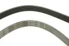 Ремінь генератора Ford Escort 1.4-1.8 92-00/Renault Laguna 1.8 93-01/VW Golf II/Passat B3/B4 88-97 FB 6PK1653 INA FB6PK1653 (фото 4)