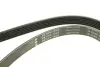 Ремінь генератора Ford Escort 1.4-1.8 92-00/Renault Laguna 1.8 93-01/VW Golf II/Passat B3/B4 88-97 FB 6PK1653 INA FB6PK1653 (фото 5)
