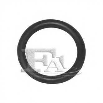 Уплотнительное кольцо FA1 076.413.100 (фото 1)