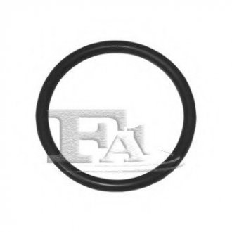 Уплотнительное кольцо FA1 076.343.100 (фото 1)