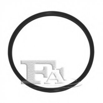 Уплотнительное кольцо FA1 076.323.100 (фото 1)
