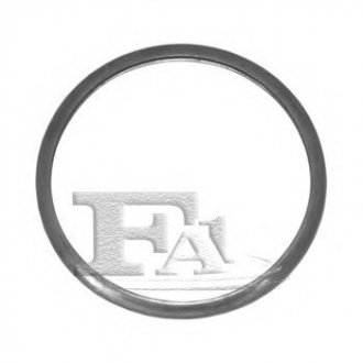 Уплотнительное кольцо FA1 101-958