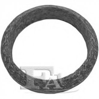 Уплотнительное кольцо FA1 111-966 (фото 1)