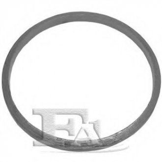 Уплотнительное кольцо FA1 251-976 (фото 1)