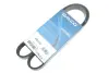 Ремень поликлиновый DAYCO 6PK1073K (фото 2)