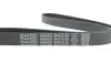 Ремень поликлиновый DAYCO 6PK1073K (фото 4)