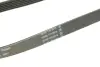 Доріжковий пас CONTITECH 6PK1073 EXTRA (фото 4)