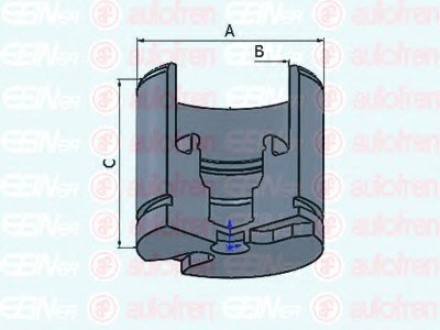 Елементи гальмівного супорта (Поршень) (SEIN) AUTOFREN D025256