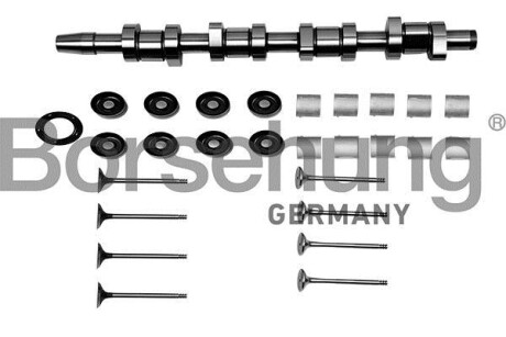 Ремкомплект з валом, клапанами, вкладишами BORSEHUNG B17129 (фото 1)