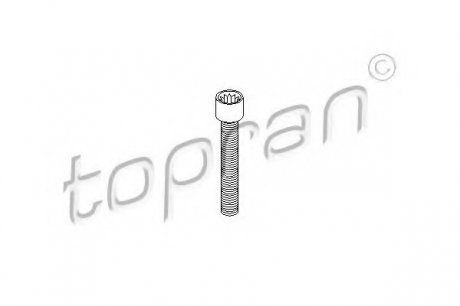 Болт, фланец карданного вала TOPRAN 104306 (фото 1)