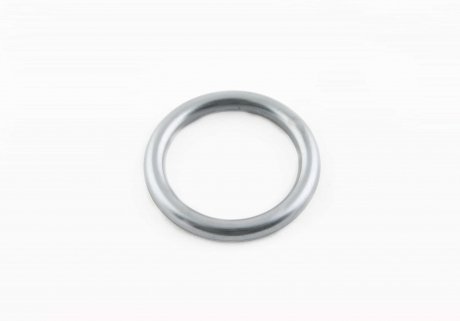 Уплотняющее кольцо VAG N90560701 (фото 1)
