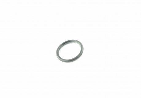 Уплотняющее кольцо VAG 077121437 (фото 1)