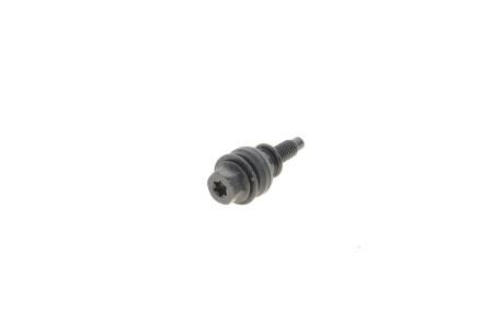 Гвинт TORX VAG 06J103831