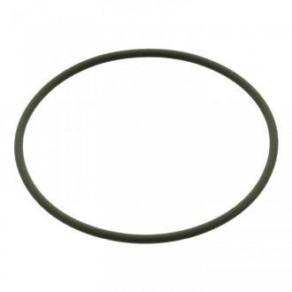Уплотнительное кольцо круглого сечения для промежуточного вал VAG d52/56 BILSTEIN FEBI 02943 (фото 1)