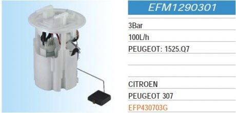 Электо-бензонасос (модуль)(3Bar 100l/h) PEUGEOT 307, Expert ACHR EFM1290301