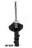 Амортизатор HYUNDAI P. ACCENT 1,3/1,5/1,6 00-05 PR JAPANPARTS MM-HY004 (фото 2)