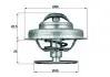Фото запчасти 1 - термостат LANCIA; PEUGEOT; RENAULT (Mahle) MAHLE MAHLE\KNECHT TX 62 89 Термостат LANCIA; PEUGEOT; RENAULT (Mahle) MAHLE MAHLE\KNECHT TX 62 89 (фото 1)