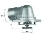 Термостат системи охолодження MAHLE MAHLE\KNECHT TI 46 92 D (фото 1)