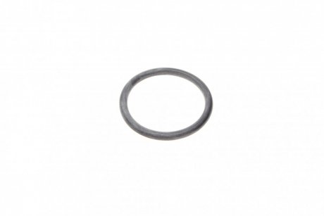 Прокладка коллектора впуск DW8 (кольцо) x4 CITROEN/PEUGEOT 0365 34 (фото 1)