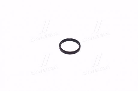 Уплотнительное кольцо трубки охлаждения CHEVROLET 55556547 (фото 1)