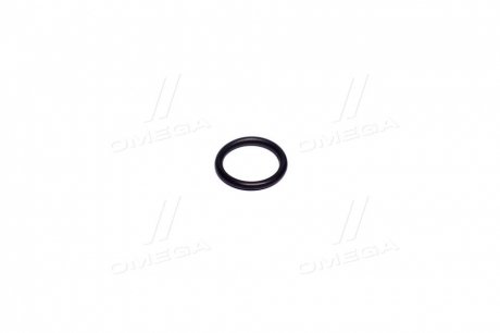 Уплотнительное кольцо CHEVROLET 55354068 (фото 1)
