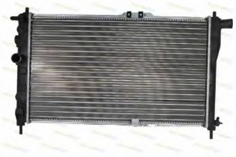 Радиатор THERMOTEC D70002TT (фото 1)