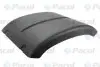 Крыло заднее PACOL RVI-MG-009 (фото 1)