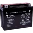 Акумулятор 6 CT-22,1-R High Performance YUASA YTX24HL-BS (фото 1)