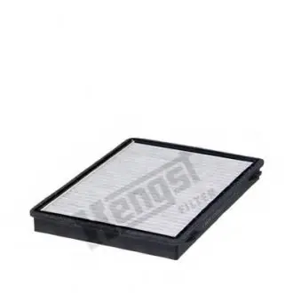 HENGST E2955LC