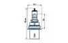 !!! Знято HB1 12,8V 65/45W P29t |AMERICAN TYPE HALOGENS| NARVA 48004 (фото 1)