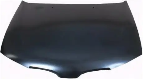 Капот FP FORMA PARTS 5003 280