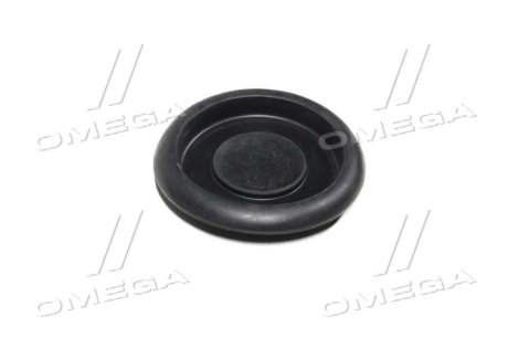 Заглушка кузова двері Toyota Lexus Daihatsu (Toyota) TOYOTA TOYOTA/LEXUS 9095001960