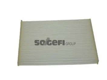 Фільтр салону FILTER CABIN AIR FRM BAG FRAM CF10282